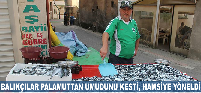 Balıkçılar palamuttan umudunu kesti, hamsiye yöneldi