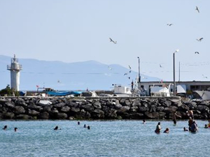 Tekirdağ’da vatandaşlar sahile koşuyor