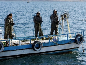 Van Gölü'ndeki kayıtlı balıkçı teknelerine 1000 TL destek veriliyor