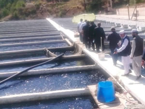 Pakistan’a balıkçılık hakkında bilgiler aktarıldı