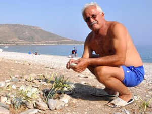 Tatilciler çekildi, sahillerde kum zambaklarıyla doldu