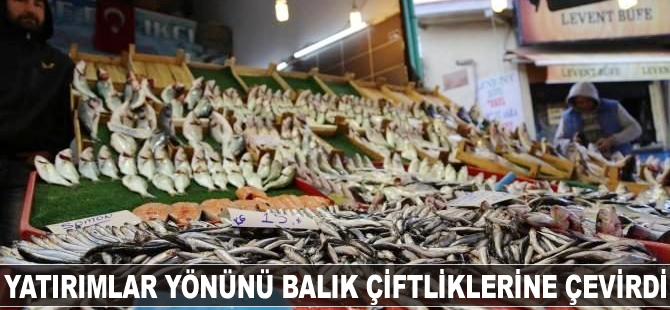 Yatırımlar yönünü balık çiftliklerine çevirdi