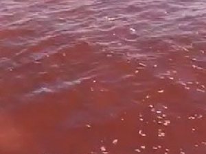 Yeni Foça’da denizin rengi kırmızıya boyandı