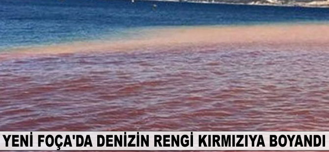 Yeni Foça’da denizin rengi kırmızıya boyandı