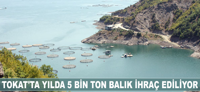 Tokat'ta yılda 5 bin ton balık ihraç ediliyor