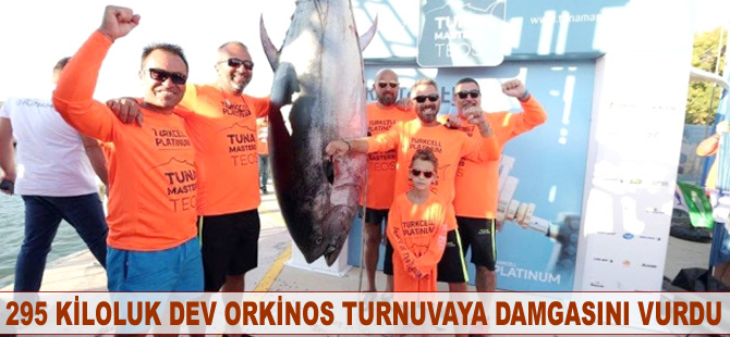 295 kiloluk dev orkinos turnuvaya damgasını vurgu