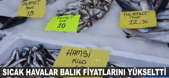 Sıcak havalar balık fiyatlarını yükseltti