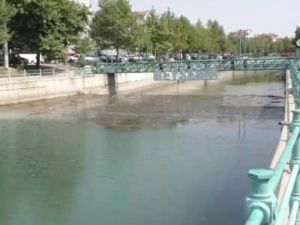 Beyşehir Gölü'nden BSA kanalına akan balıklara tepki oluştu