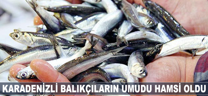Karadenizli balıkçıların umudu hamsi oldu