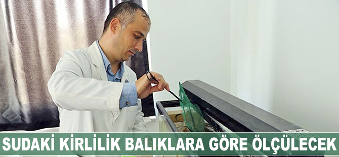 Sudaki kirlilik balıklara göre ölçülecek