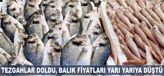 Tezgahlar doldu, balık fiyatları yarı yarıya düştü