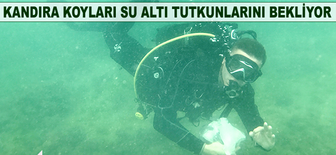 Kandıra koyları su altı tutkunlarını bekliyor