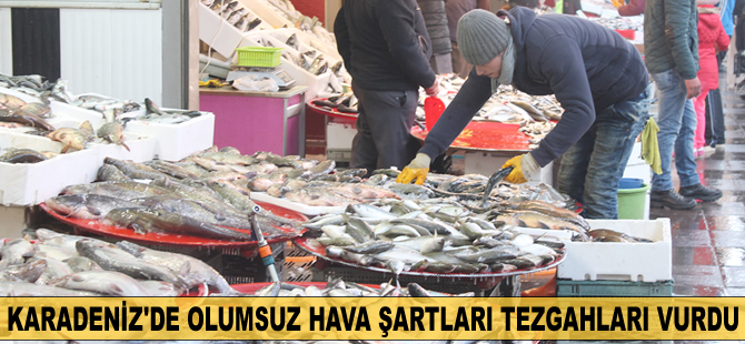 Karadeniz'de olumsuz hava şartları balıkçı tezgahlarını vurdu