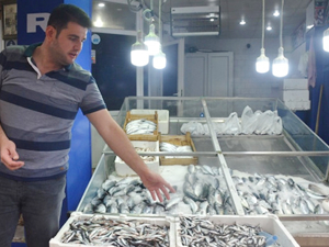 Karadeniz'de olumsuz hava şartları balıkçı tezgahlarını vurdu