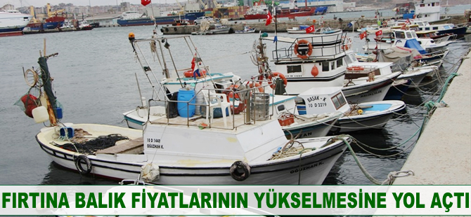 Bandırma'da balık fiyatları yükseldi