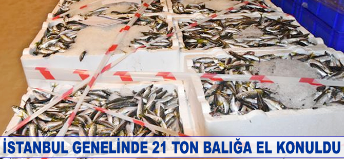 İstanbul genelinde 21 ton balığa el konuldu