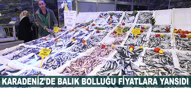 Karadeniz'de balık bolluğu fiyatlara yansıdı