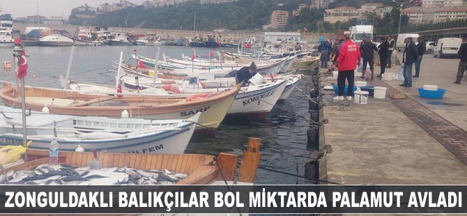 Zonguldaklı balıkçılar bol miktarda palamut avladı