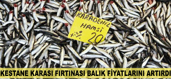 Kestane karası fırtınası balık fiyatlarını artırdı