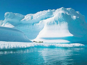 Dev buzullar gemiler için büyük tehlike oluşturuyor