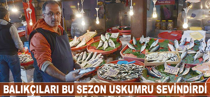 Balıkçıları bu sezon uskumru sevindirdi