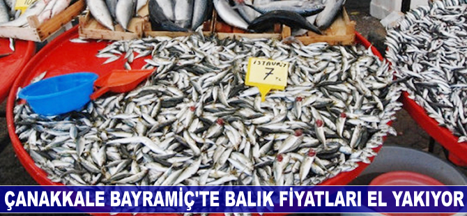 Çanakkale’nin Bayramiç'te balık fiyatları el yakıyor