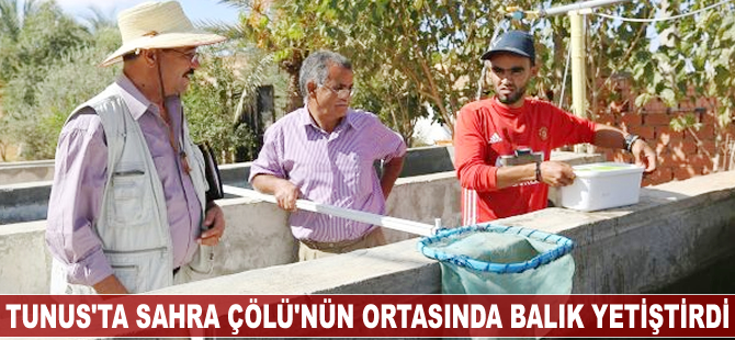 Tunus'ta Sahra Çölü'nün ortasında balık yetiştirdi