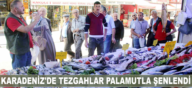 Karadeniz'de tezgahlar palamutla şenlendi