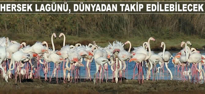 Hersek Lagünü, dünyadan takip edilebilecek