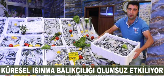 Küresel ısınma balıkçılığı olumsuz etkiliyor