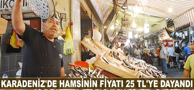 Karadeniz'de hamsinin fiyatı 25 TL’ye çıktı