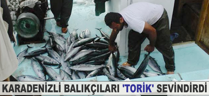 Karadenizli balıkçıları 'torik' sevindirdi