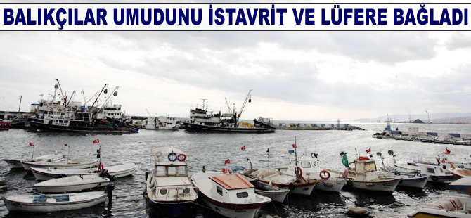 Balıkçılar umudunu istavrit ve lüfere bağladı