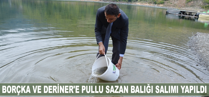 Muratlı-Borçka ve Deriner'e 1 milyon adet pullu sazan balığı yavrusu bırakıldı
