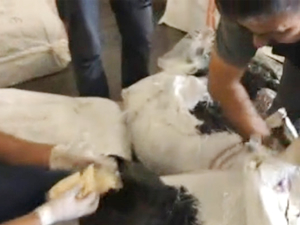 İskenderun Limanı'nda 144 bin adet hap ele geçirildi