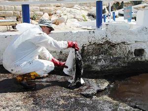 IMO’dan Yunanistan’a yardım