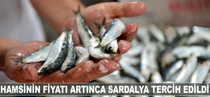 Hamsinin fiyatı artınca sardalya tercih edildi
