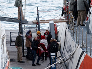 Bodrum'da 24 kaçak göçmen yakalandı