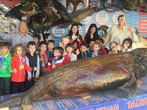Türkiye Deniz Canlıları Balıkçı Kenan Müzesi'ne yoğun ilgi