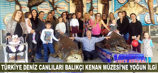 Türkiye Deniz Canlıları Balıkçı Kenan Müzesi'ne yoğun ilgi