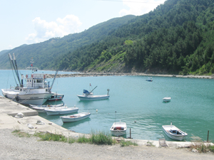 Ayancık'ta yapılacak olan balıkçı barınağı projesi onaylandı