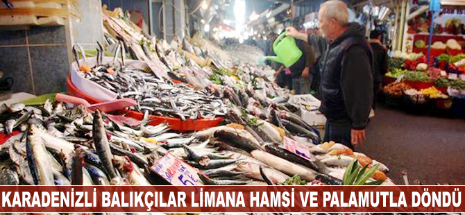 Karadenizli balıkçılar limana hamsi ve palamutla döndü