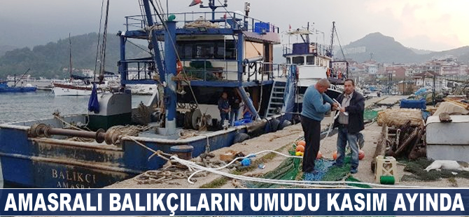 Amasralı balıkçıların umudu kasım ayında