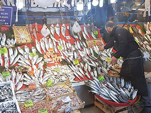 Balık fiyatları düşmedi, uzmanlar avcılığa dikkat çekti