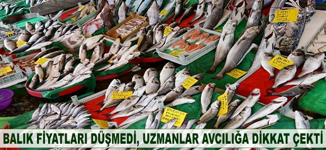 Balık fiyatları düşmedi, uzmanlar avcılığa dikkat çekti