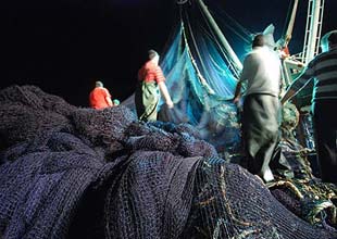 Akdeniz'de orkinos av sezonu başladı