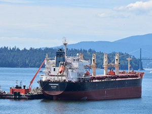 Nijeryalı kaçak yolcular mürettebatı tehdit etti