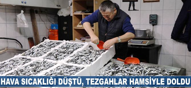 Hava sıcaklığı düştü, tezgahlar hamsiyle doldu
