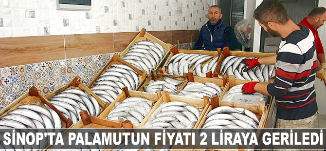 Palamutun tane fiyatı 2 liraya düştü