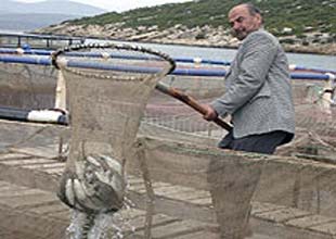 Su ürünleri yetiştiriciliğine 'sıfır faizli kredi'